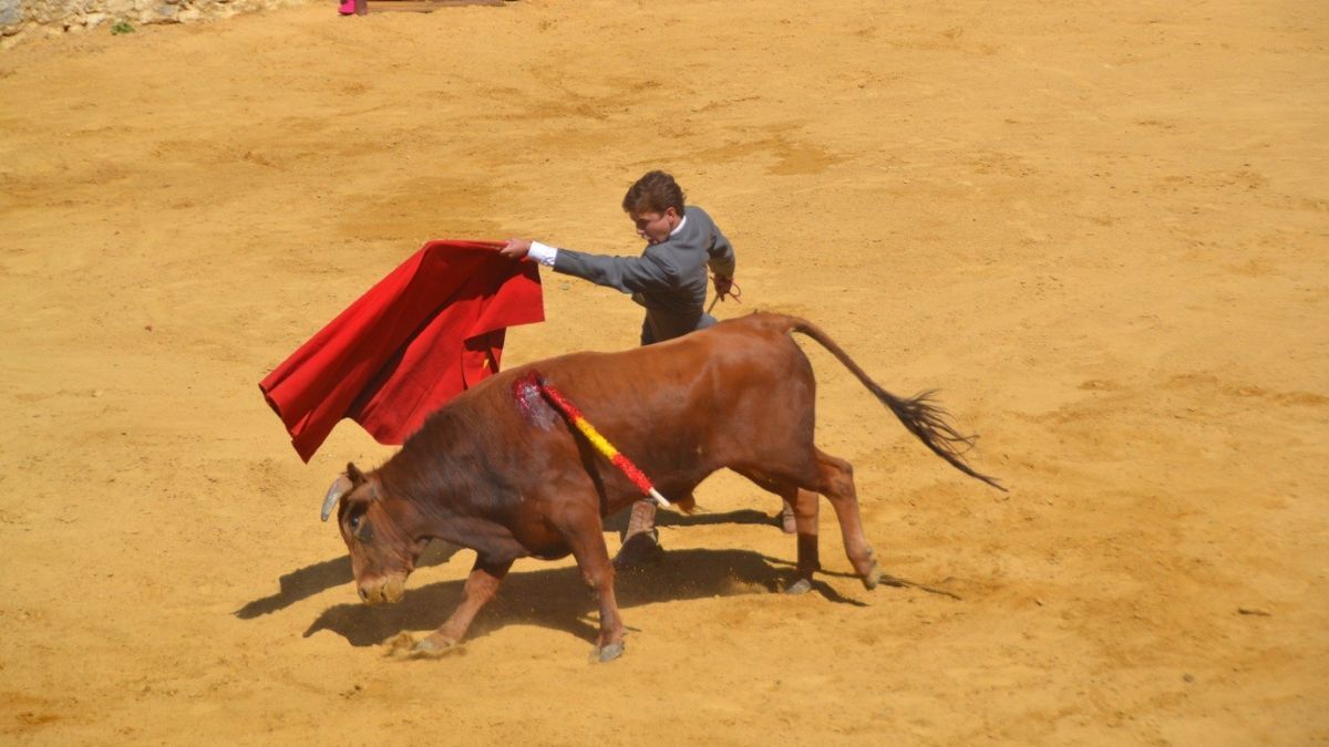 Andrés Nieves I Breña
