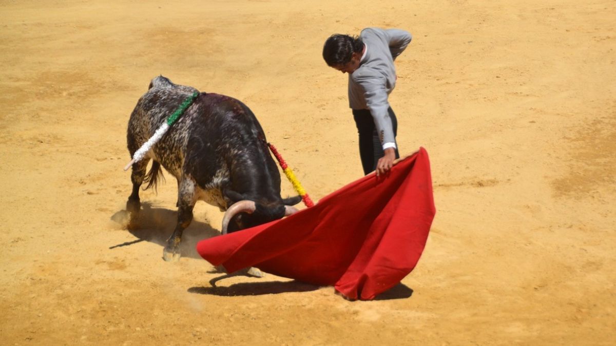 Ruiz Muñoz I Breña
