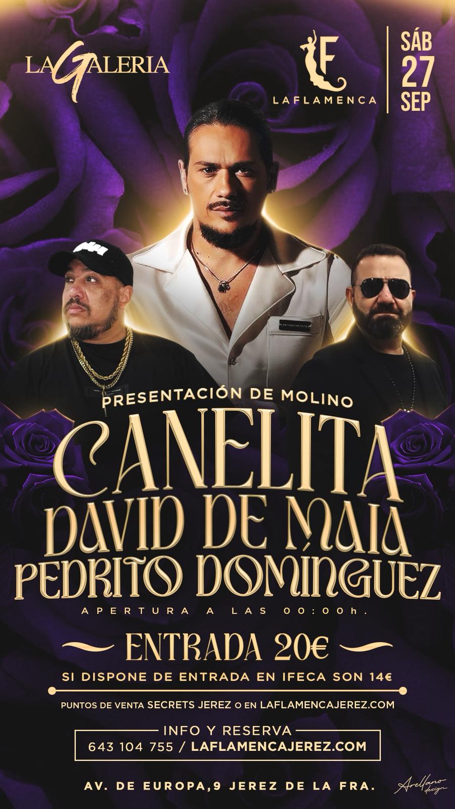 Concierto La Flamenca