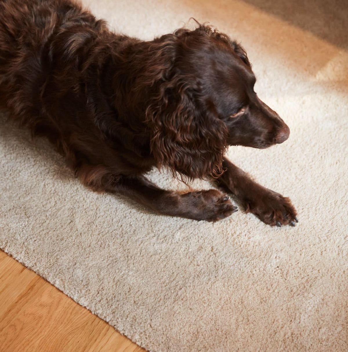 Alfombra de pelo corto de la serie STOENSE de Ikea