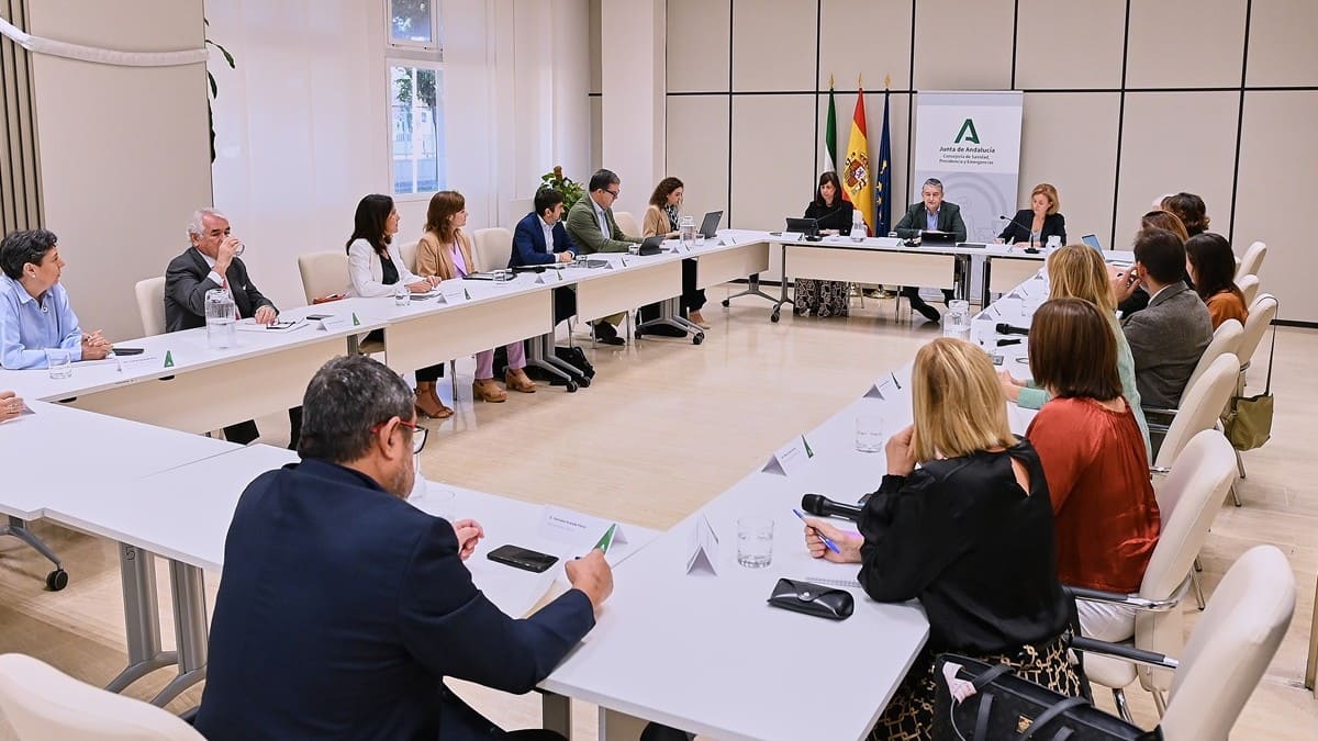 El consejero ha presidido la reunión de la comisión de seguimiento del plan de choque | Salvador López Medina