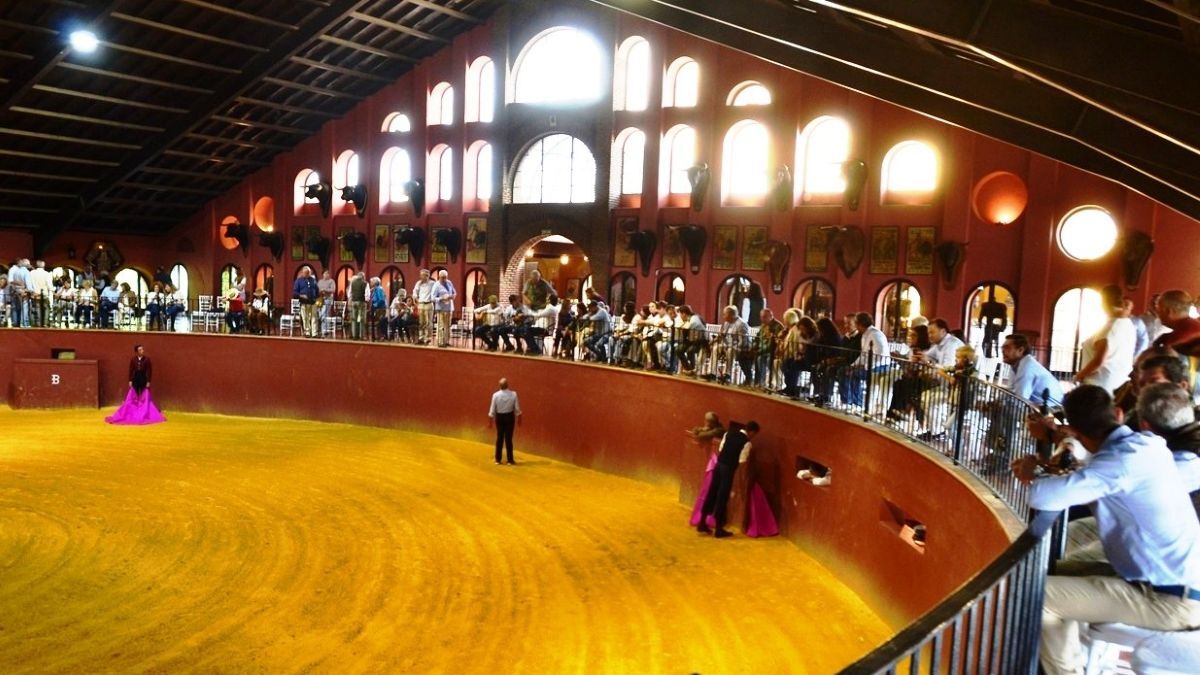 Tentradero en Fuente Rey I Breña