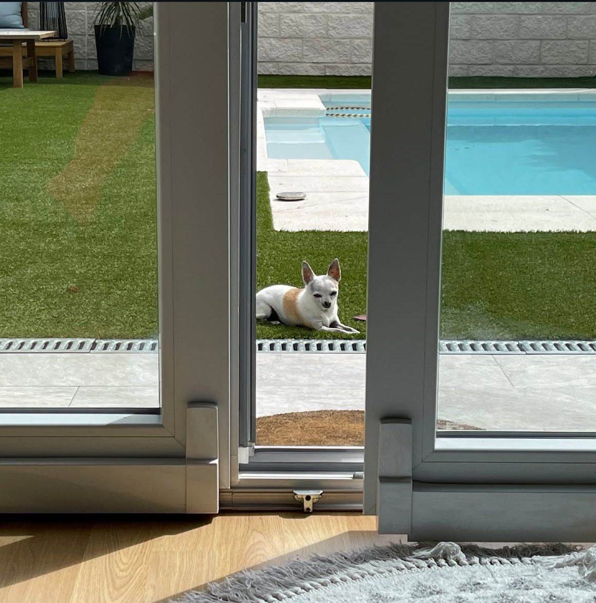 Jardín de Roberto Leal