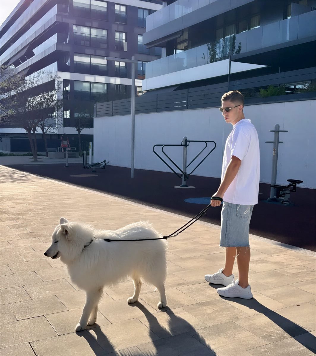 Fermín paseando al samoyedo de la pareja