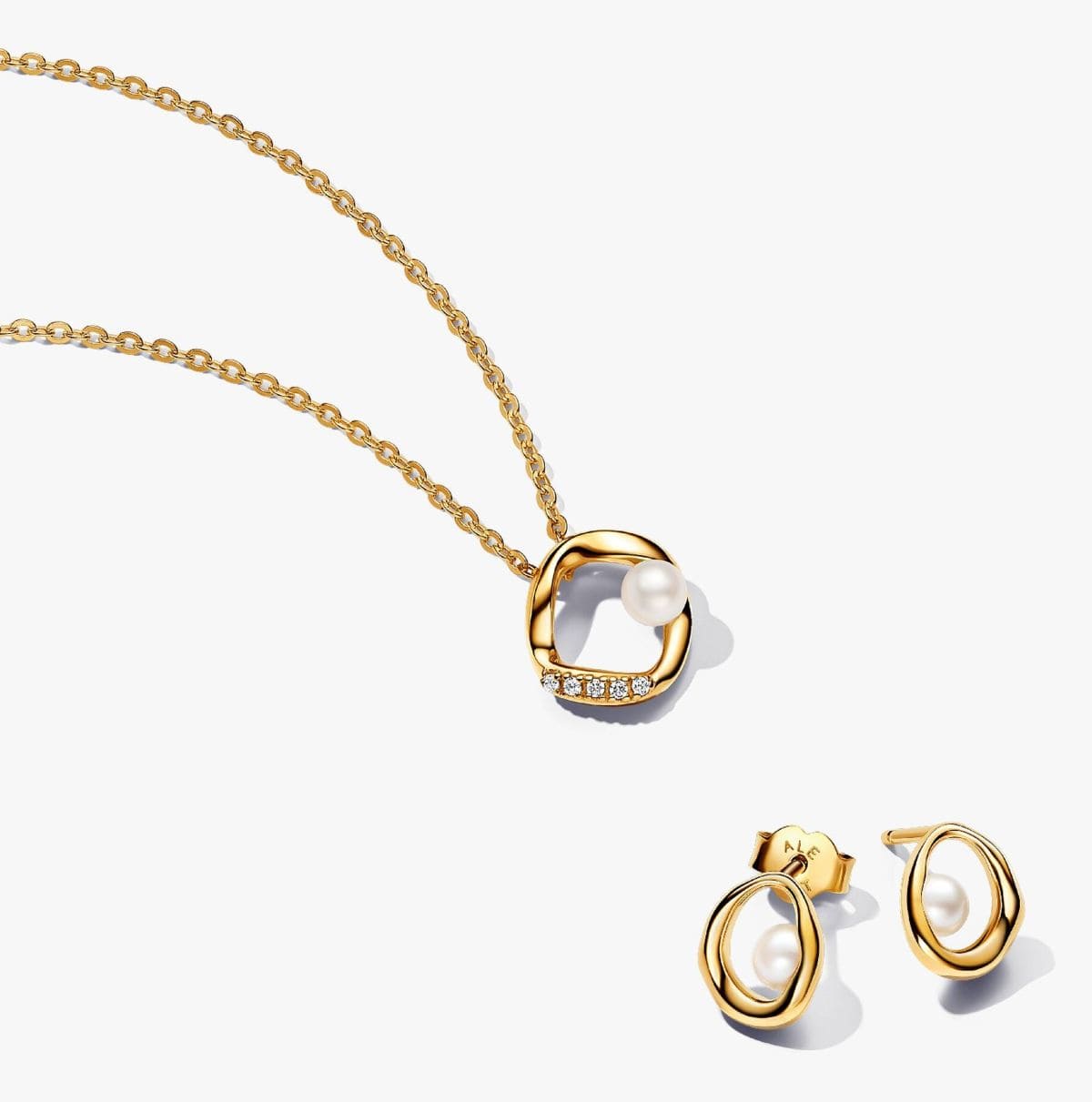 Conjunto de Regalo Círculo Forma Orgánica de Pandora