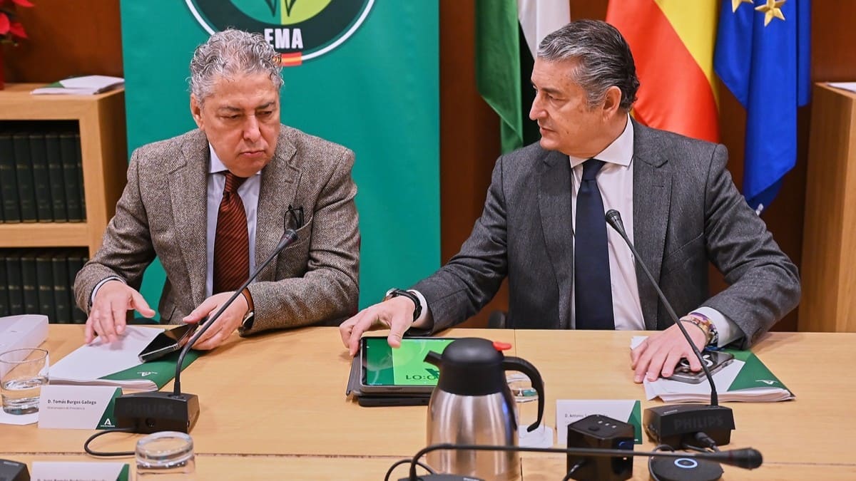 Sanz ha presidido la última sesión del año del Consejo Rector de la Agencia de Emergencias de Andalucía | Salvador López Medina