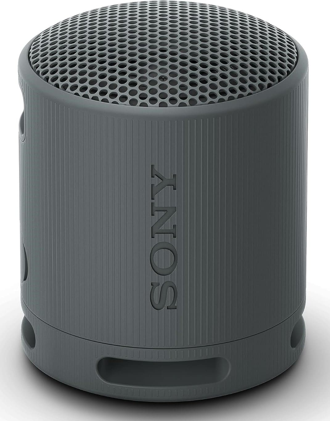 Altavoz con bluetooth SRS-XB100, Sony