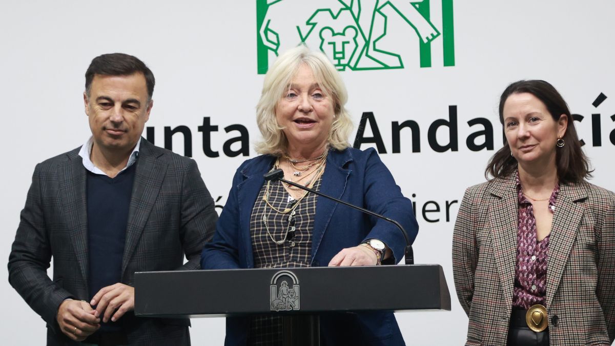 Mercedes Colombo en la rueda de prensa de balance de 2025 | Cristo García