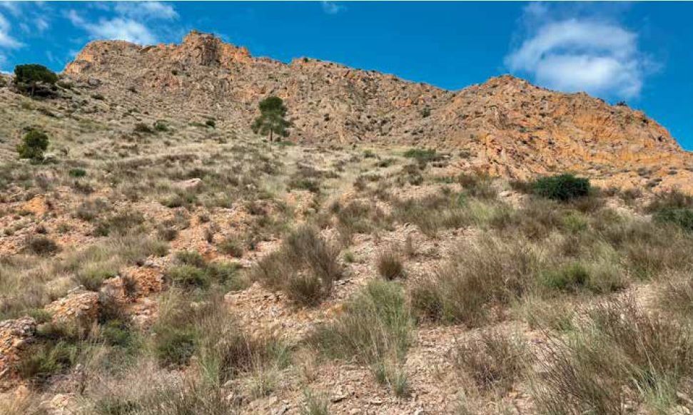 Ladera de San Antón