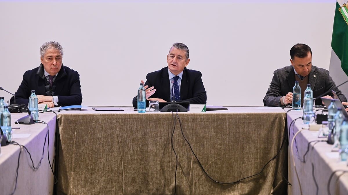 El consejero andaluz ha agradecido la labor de los profesionales sanitarios | Salvador López Medina