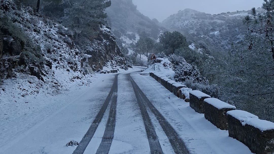 Un manto blanco ha cubierto las carreteras de la Sierra de Cádiz