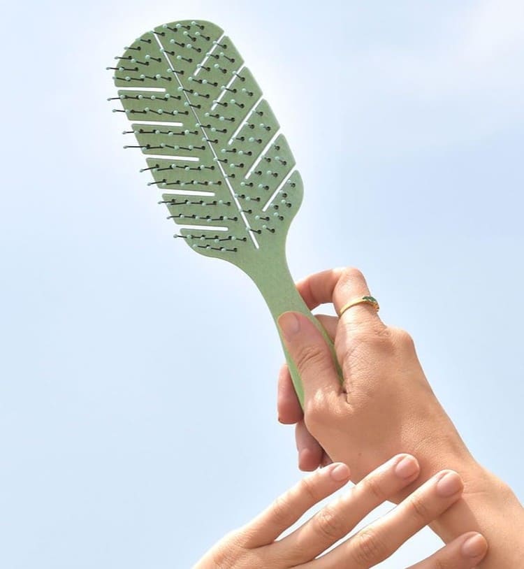 Cepillo de pelo esqueleto Beter