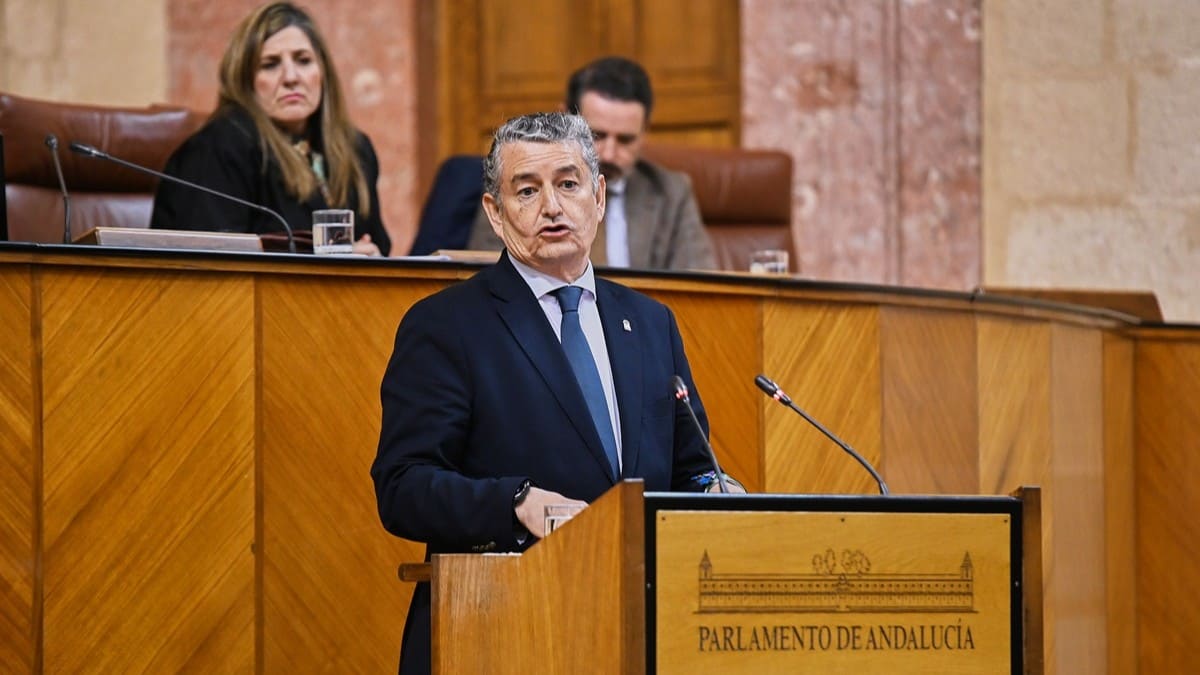El consejero andaluz, Antonio Sanz, ha comparecido a petición de los grupos de la oposición | Salvador López Medina