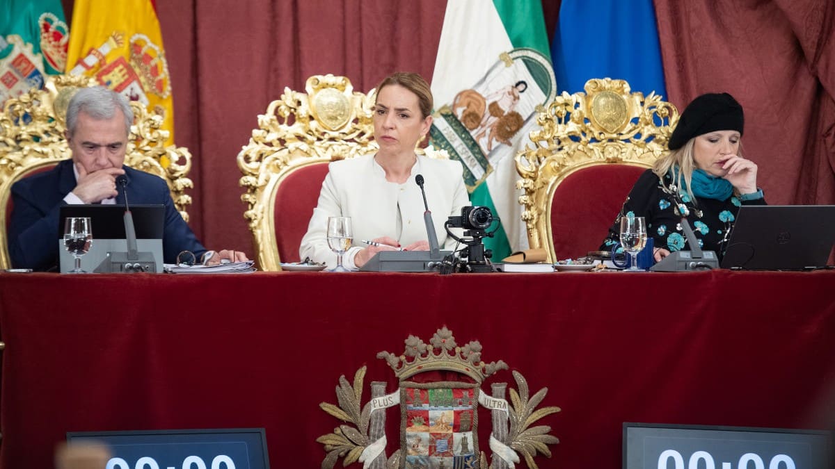 Almudena Martínez ha presidido el pleno ordinario de febrero en la Diputación de Cádiz