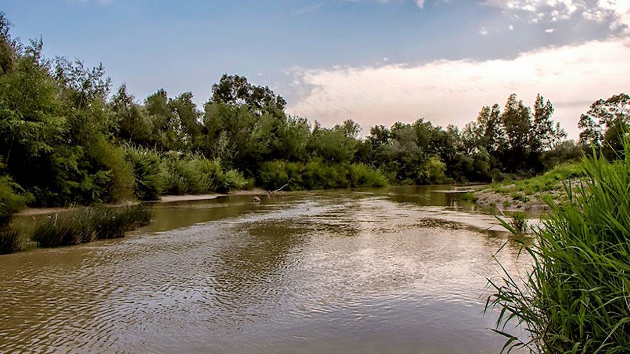 Los bosques de ribera actúan como filtro natural frente a sedimentos y contaminación | Agustín García Lázaro