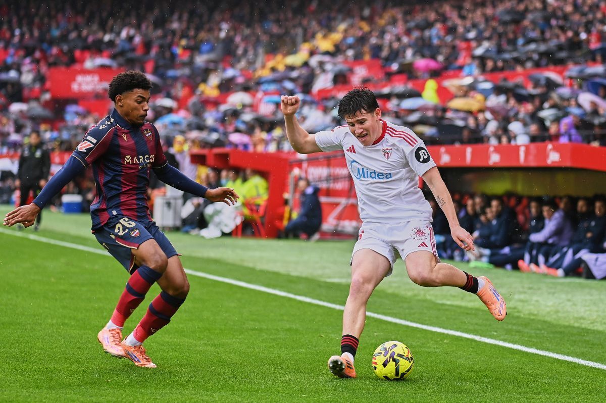 Oso en el Sevilla FC - Levante UD | Salvador López Medina