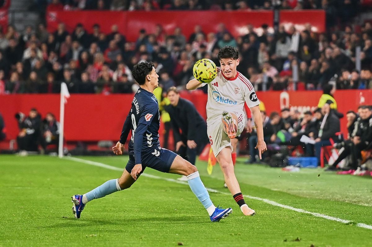 Oso en el Sevilla FC - Celta de Vigo | Salvador López Medina