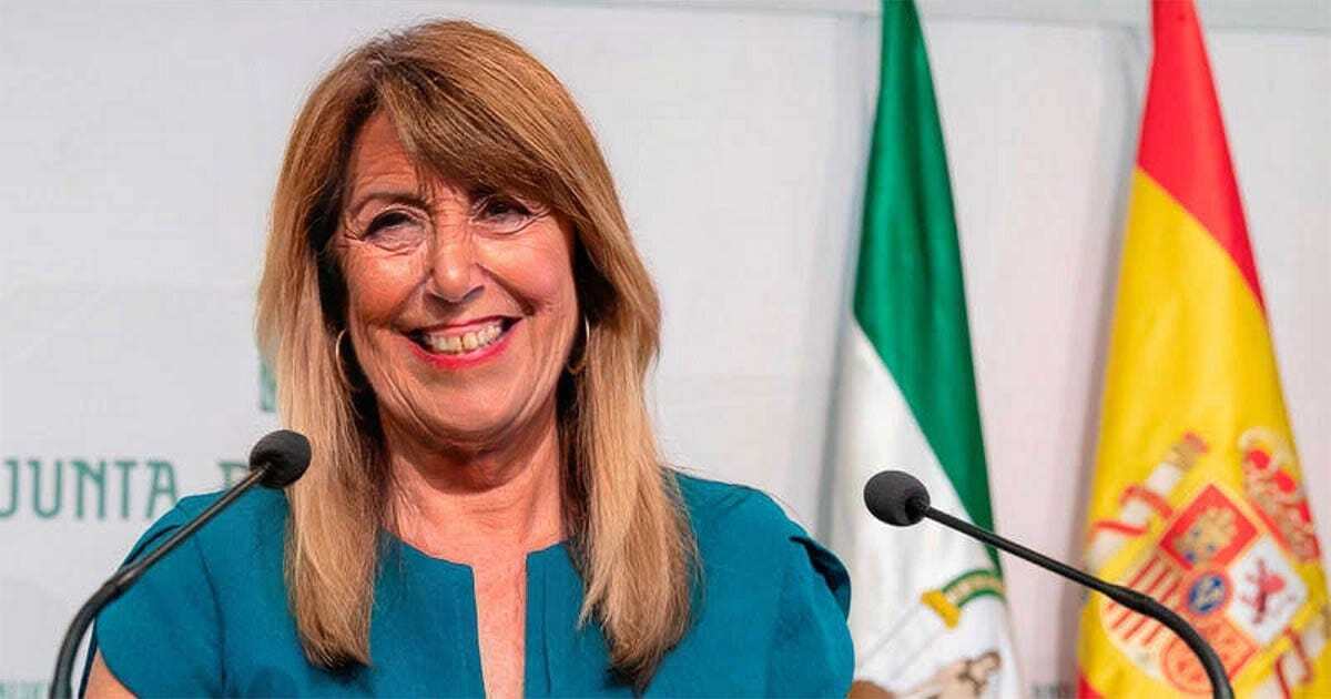 MONTAJE ENVEJECIMIENTO