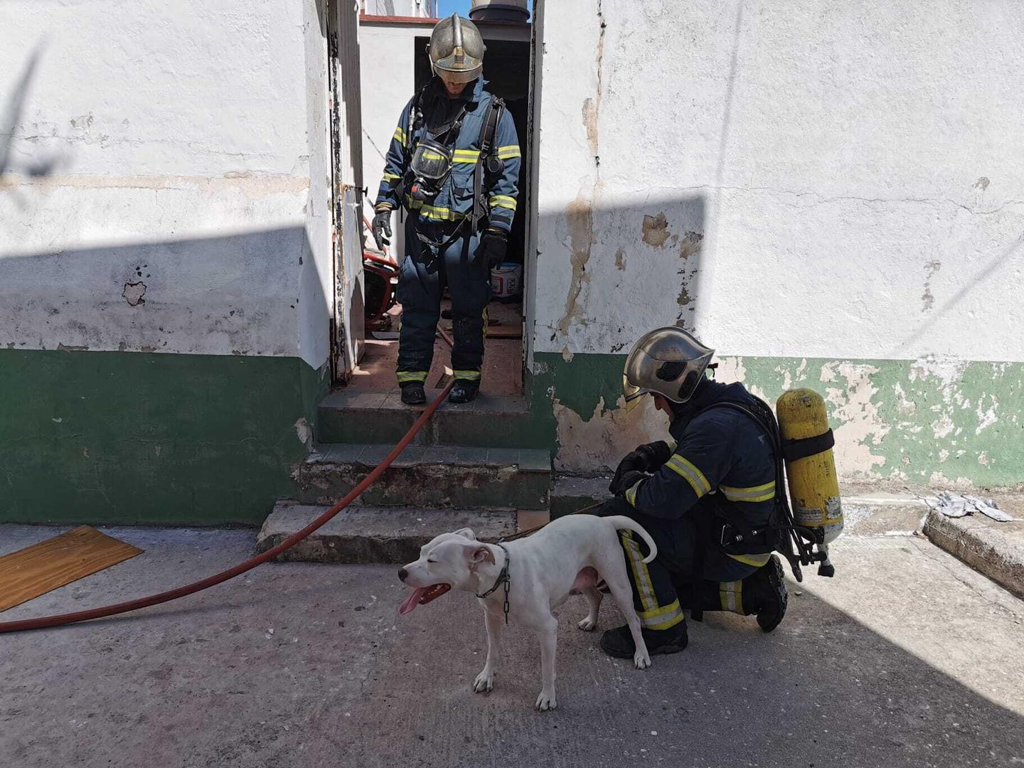 Foto: Jesús Catalán