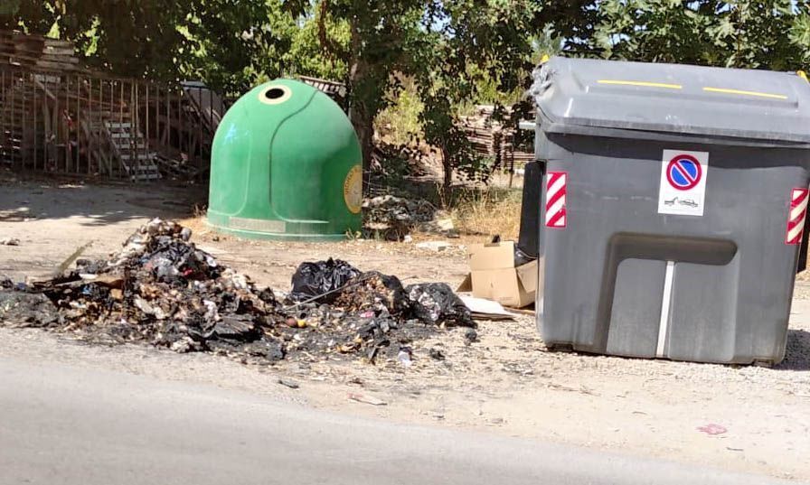 Estella del marqués