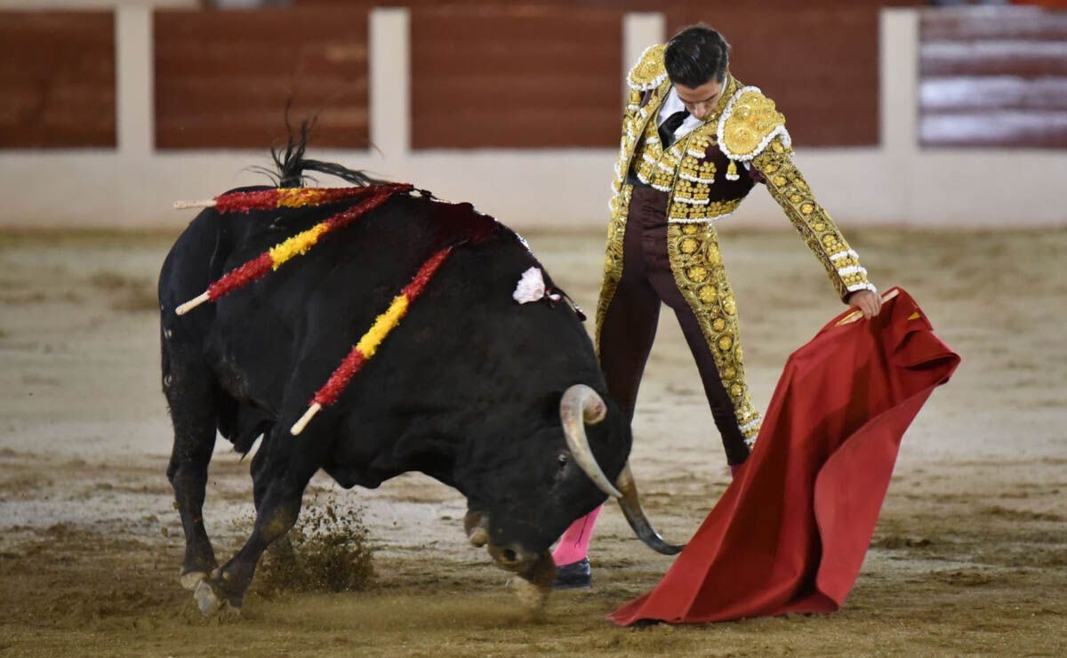 corrida toros Linares Daniel Crespo