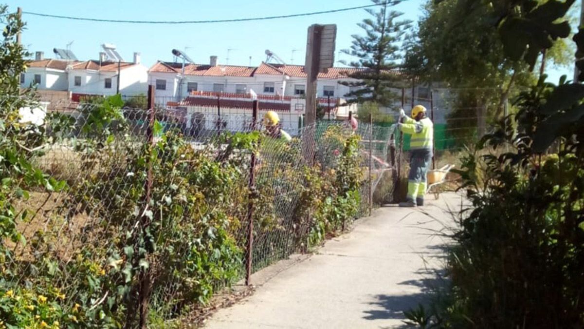 Operarios trabajando en la barriada del Rocío (Jerez de la Frontera) | Foto: Cedida