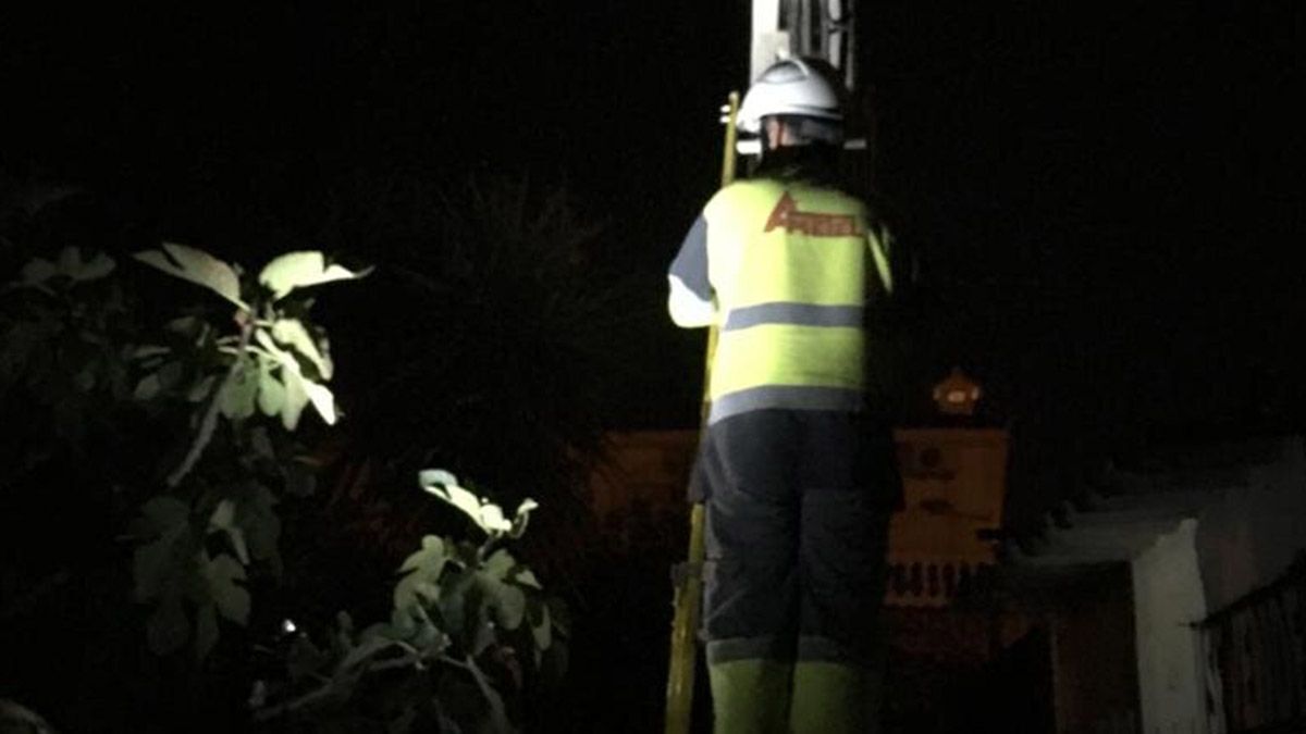 Operarios trabajando en la barriada del Rocío (Jerez de la Frontera) | Foto: Cedida
