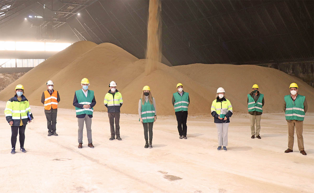 Ana Mestre azucarera